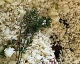 Risotto z czosnkiem niedźwiedzim i szparagami krok przepisu 1 zdjęcie