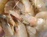 Foto langkah ke 1 dari resep Udang Bakar Jimbaran.