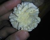 Foto langkah ke 6 dari resep Sagu Keju.