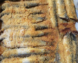 Foto del paso 6 de la receta: Boquerones crujientes al horno