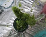 Foto del paso 2 de la receta: Yetlatl