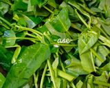 Foto langkah ke 2 dari resep Cah kangkung tauco.