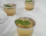 Foto langkah ke 3 dari resep Puding Jeniper Mint.