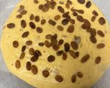 Foto del paso 7 de la receta: Coca de Pasas y Nueces …Merienda Pascuera Valenciana !!! V-1 con masa de arranque