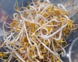 Hình bước làm 1 của món Canh giá đỗ rong biển