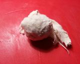 Foto del paso 15 de la receta Caracoles en salsa Urrutia