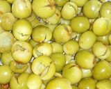 A picture of step 3 of Cordia myxa.