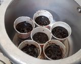 A picture of step 3 of Chocolate cup cakes with harshley Syrup and choco chips.