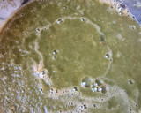 Foto del paso 3 de la receta: Sopa de acelgas, zanahoria y tomate