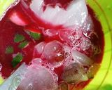 A picture of step 6 of My exotic sobo juice.