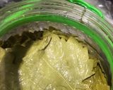 A picture of step 3 of Grape Leaf Preserving Methods.