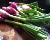 Foto del paso 1 de la receta: Dip de cebolla de verdeo ahumada con salsa de ajo