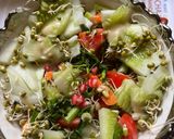 A picture of step 3 of Sprouts Salad High protein moong sprouts recipe in Indian meal.