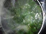 Tumis Daun Pepaya Jepang