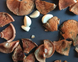 Foto del paso 3 de la receta: Rovellons y esclatasangs(Níscalos) al ajillo