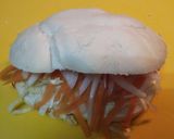 Foto del paso 6 de la receta: Gyros griego