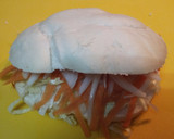 Foto del paso 6 de la receta: Gyros griego
