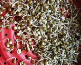 A picture of step 2 of Sprout Salad.