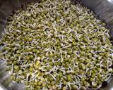 Healthy moong sprouts for breakfast recipe step 1 photo