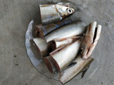 Parede Ikan Bandeng