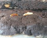 Foto del paso 5 de la receta: Brownie sin azúcar