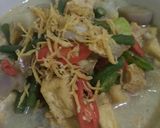 Foto langkah ke 4 dari resep Lodeh Tabur Teri Medan.