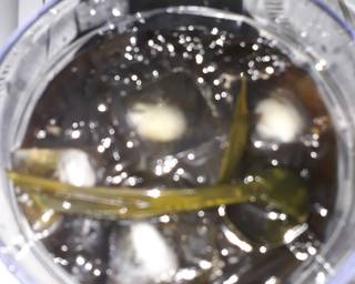 Cendol Cincau Hitam Kuah Susu - Step 2