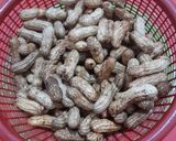 Foto langkah ke 1 dari resep Kacang Tanah Rebus By Jesslyn Orlane.
