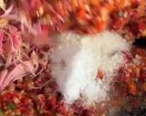 Foto langkah ke 4 dari resep Sambal bunga kecombrang.