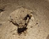 Foto del paso 4 de la receta: Crema helada de oreo