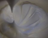 Gyömbéres-Narancsos Fehér csokitorta fekete szezámmal recept fázis 2 fotója