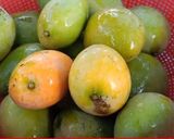 A picture of step 1 of Rich Mango creamy drink.