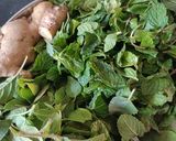 આમળા ફુદીનાનો રસ (Amla Pudina Juice Recipe In Gujarati) રેસીપી સ્ટેપ1ફોટો