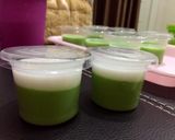 Foto langkah ke 4 dari resep Puding pandan fla santan praktis (nutrijel).