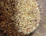 मटकीची भाजी (matkichi bhaji recipe in marathi) रेसिपी स्टेप 1 फोटो 