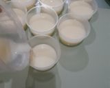 Foto langkah ke 4 dari resep Puding buah.