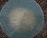 Foto del paso 3 de la receta: Grisines de queso