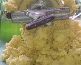 Foto del paso 3 de la receta: Tanelas