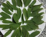 Foto del paso 2 de la receta: Hojas de salvia rebozadas 🌱