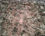 Foto del paso 9 de la receta: Acelgas a la crema gratinadas con papas y queso