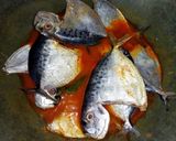 Foto langkah ke 3 dari resep Gulai Asam Ikan Pilot (Gule Masam Ikan Pilot).