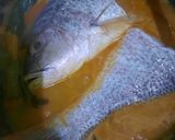 Foto langkah ke 2 dari resep Gulai Ikan Kakap.