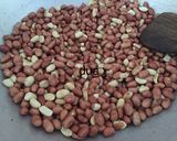 Foto langkah ke 2 dari resep Kacang Sangrai (cemilan diet).