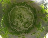 A picture of step 2 of Spinach with Cottage Cheese Curry.