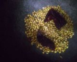 A picture of step 2 of Aloo Chokha.