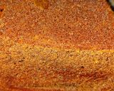 Foto del paso 4 de la receta: Budín sin manteca limón/ naranja y chocolate