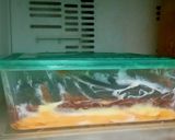 Foto langkah ke 4 dari resep Es Krim Mangga Durian Coklat Homemade 😉😋.
