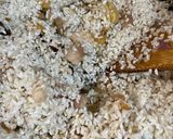 Foto langkah ke 4 dari resep Nasi Grace Sawi Pahit (Kwa Cai Peng).