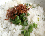 Foto langkah ke 4 dari resep Nasi Goreng Teri Cabe Ijo.