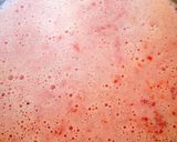 A picture of step 3 of Tomato & Yogurt Chilled Summer Soup.